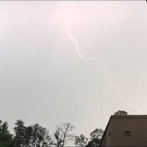 Meet your Posher, Wesley